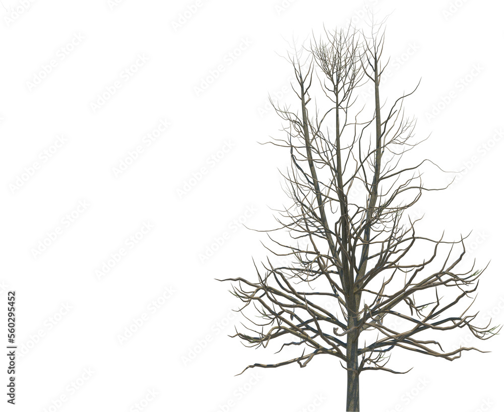 Tree branch cutout Tree branch cutout