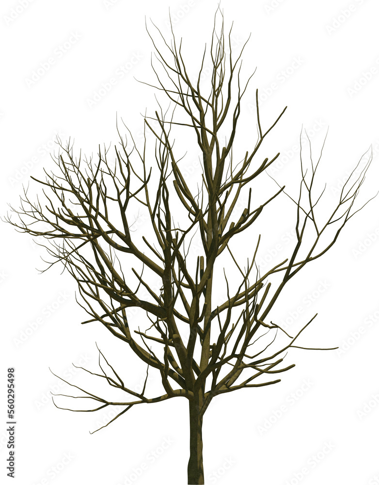 Obraz premium Tree branch cutout