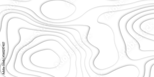 Abstract white paper cut shapes background with shadow and topography map concept, texture. Abstract realistic Papercut decoration background. Abstract papercut wavy line background.