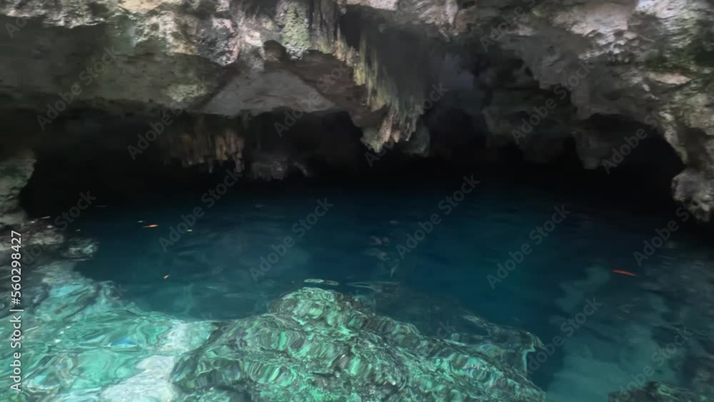 Entrance of a Cenote at Tulum, Mexico Entrance of a Cenote at Tulum, Mexico