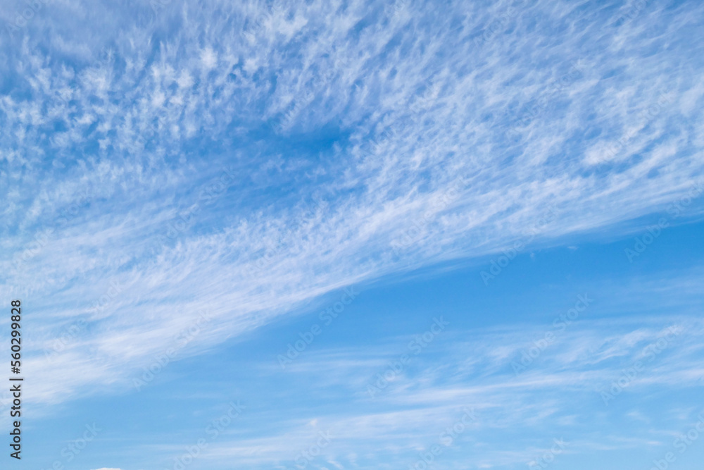 青い空に白い雲