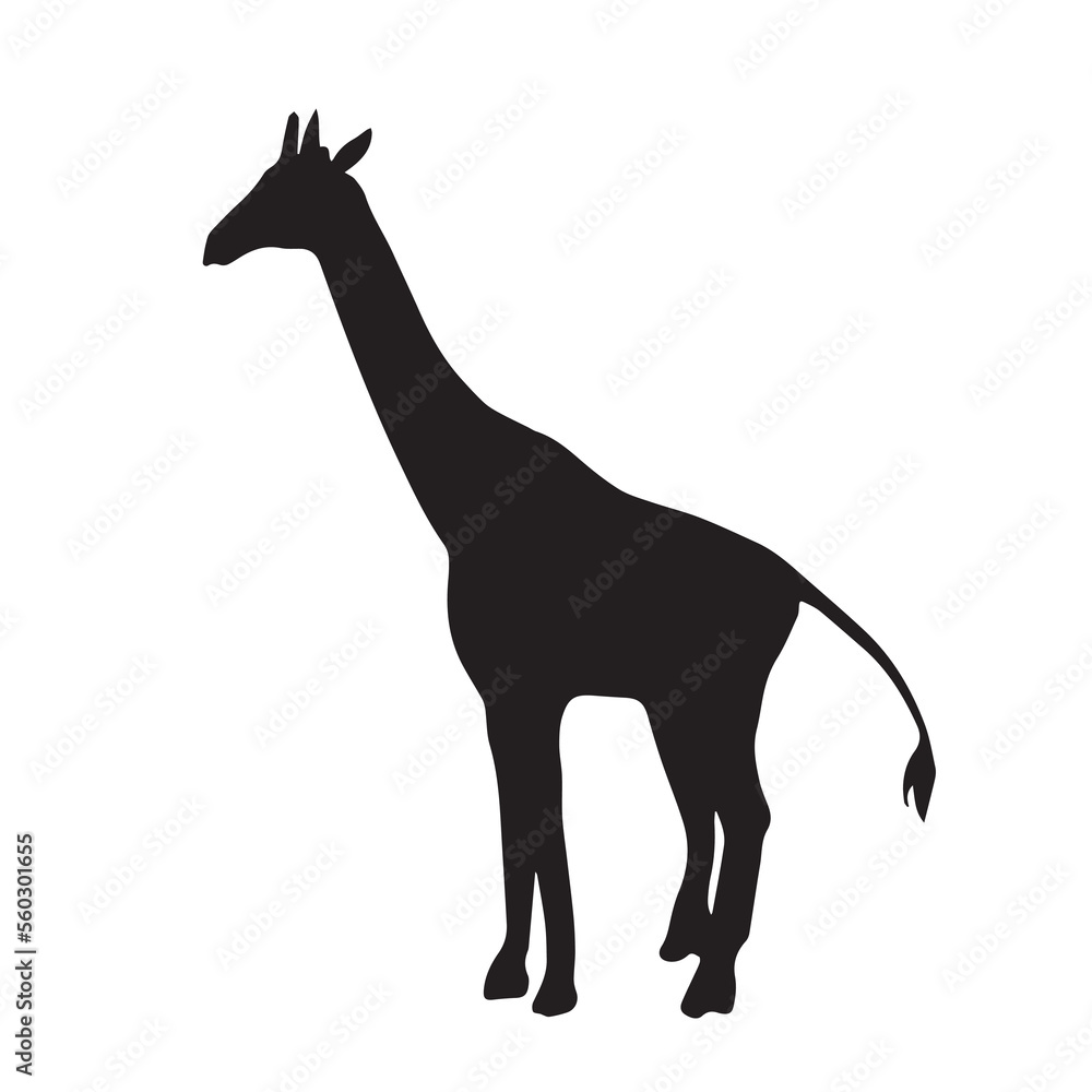 Obraz premium Giraffe vector icon illustration black silhouette isolated on plain white background. Wild savannah animal drawing with simple and flat art style.