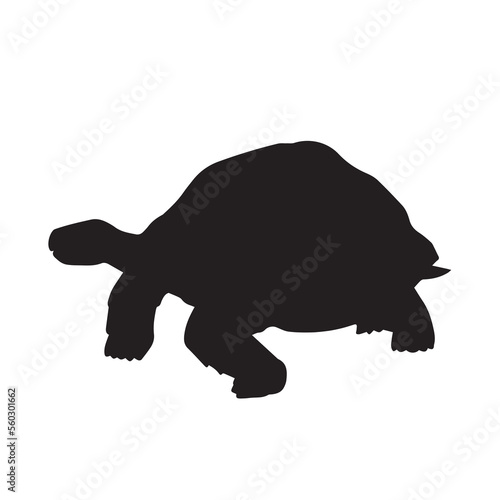 Giant tortoise black vector icon silhouette illustration isolated on plain white background. Wild animal drawing with simple flat art style.