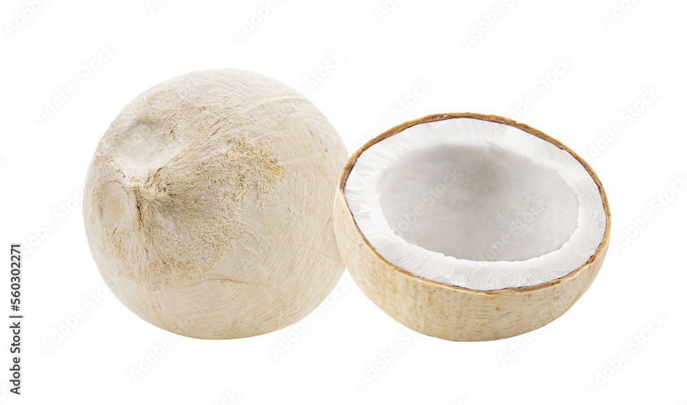 young coconut on transparent png young coconut on transparent png