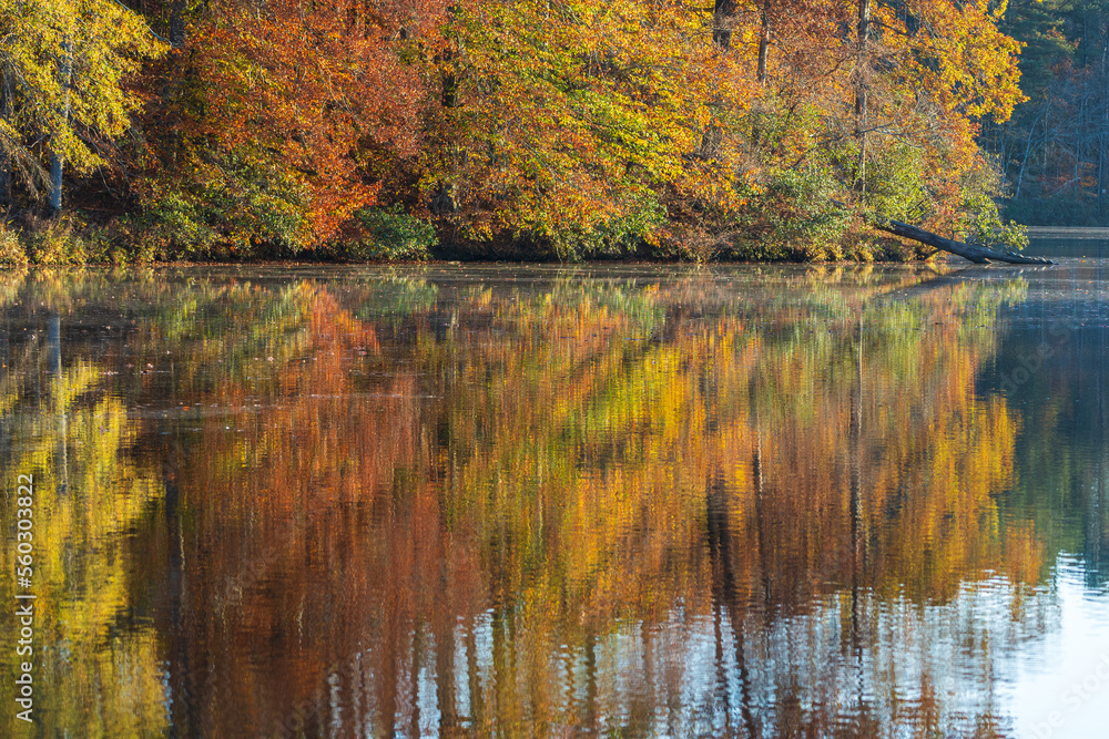 Beautiful Fall Colors Reflect Onto A Peaceful North Georgia Lake