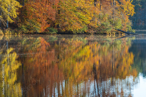 Beautiful Fall Colors Reflect Onto A Peaceful North Georgia Lake