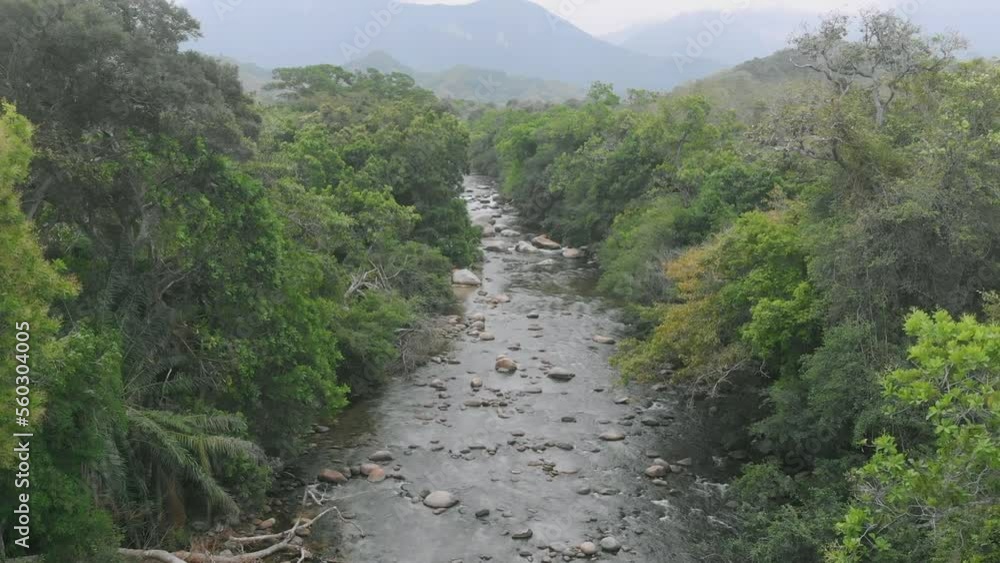 River in the middle of trees (Santa Marta, Colombia) River in the middle of trees (Santa Marta, Colombia)
