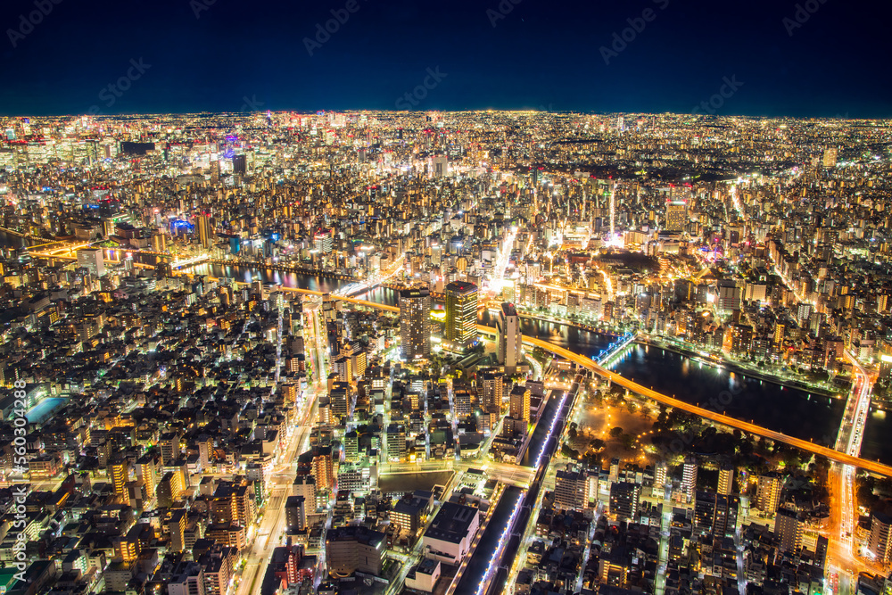 Obraz premium 東京 スカイツリーからの夜景