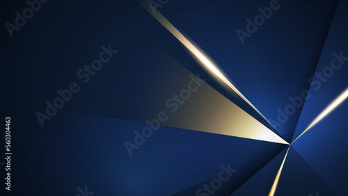 Modern abstract navy and gold background vector. Elegant concept design with golden line.