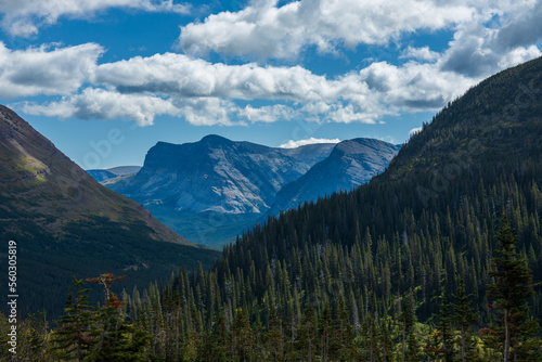distant mountain landscape with forest hills and soft clouds