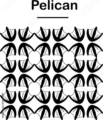 Pelican foot print pattern illustration on white background..eps