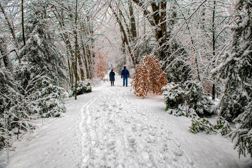 Walking in the snow wonderland