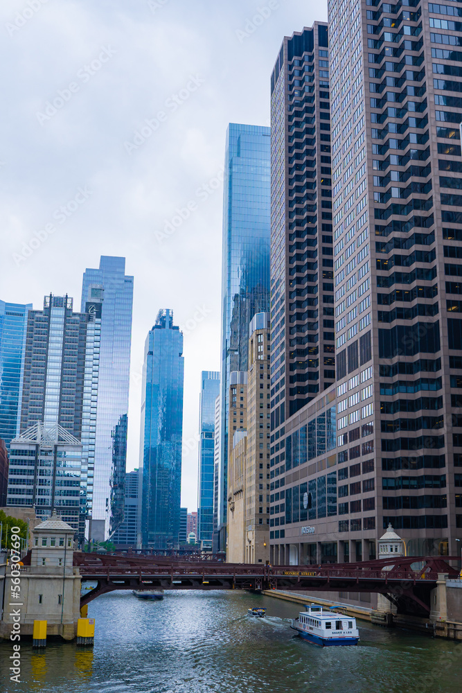 Fototapeta premium city skyline