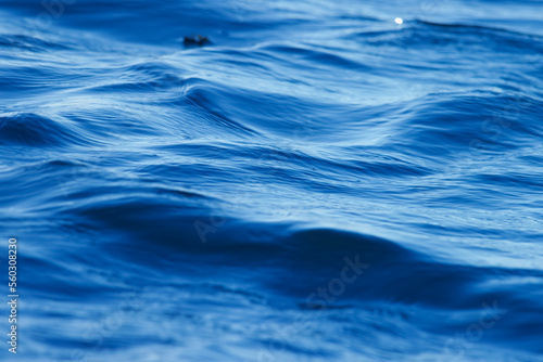 Blue water background texture. Water surface. Ocean water background.