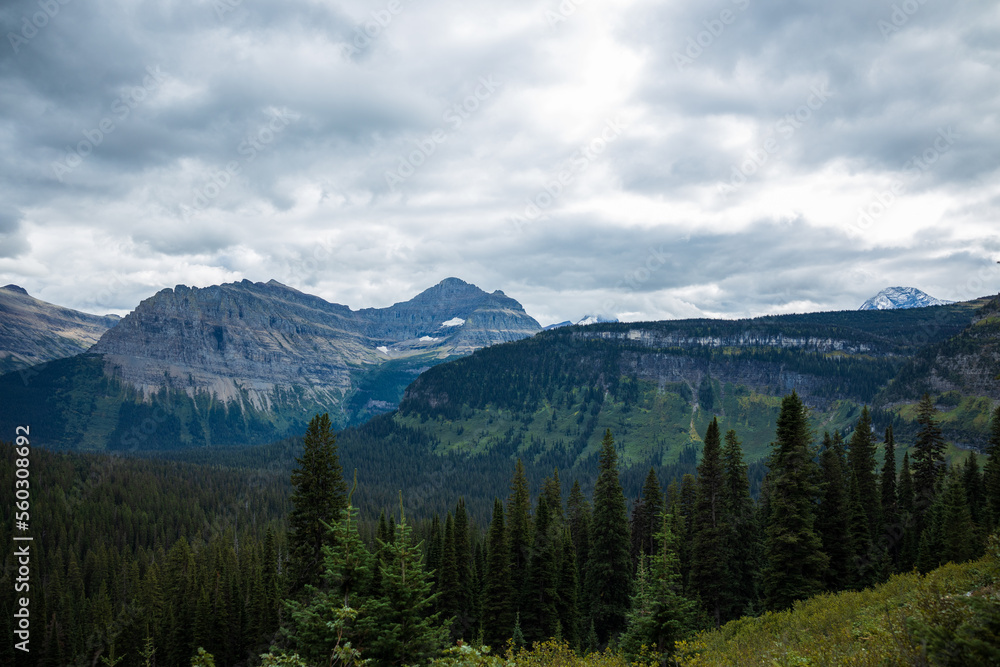 glacier valleys with green forest and overcast skies