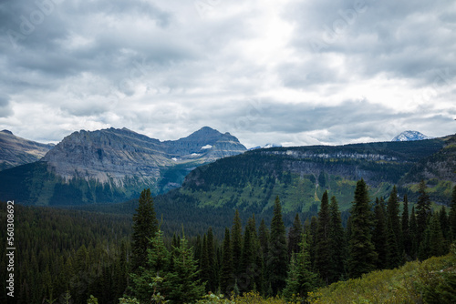 glacier valleys with green forest and overcast skies © Charles Baden