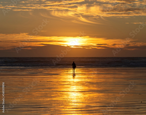 Lone surfer in silhouette at sunset contemplating the surf before surfing