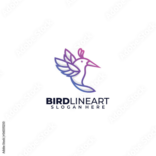 colibri bird line art logo design gradient color