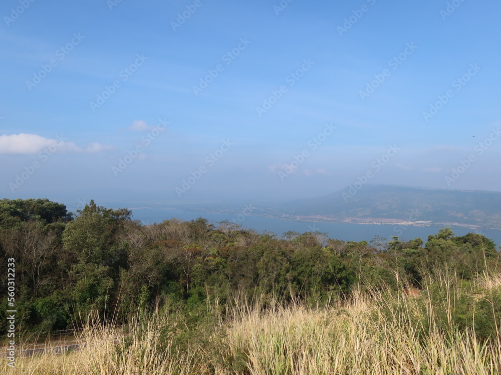 Grassland view, forest with river and sunshine. Grassland view, forest with river and sunshine.