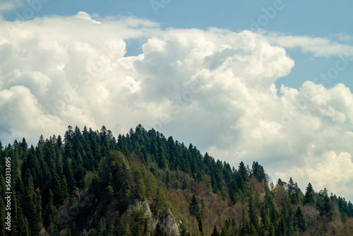 beautiful green high mountains in Poland