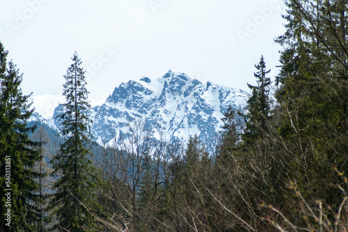 beautiful green high mountains in Poland
