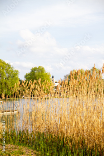 beautiful green high mountains in Poland