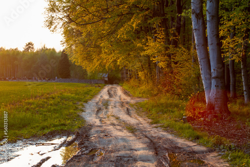 beautiful green high mountains in Poland