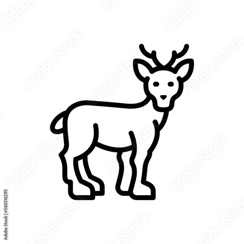 Black line icon for doe