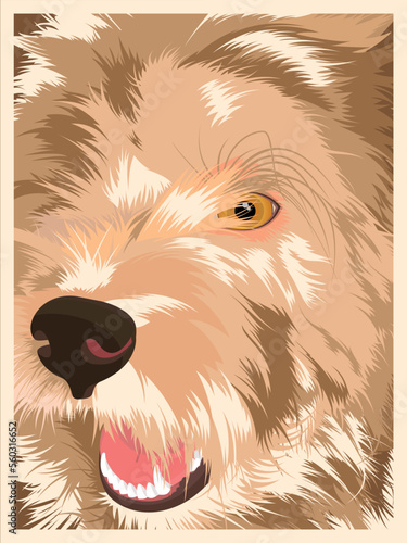 Golden Labradoodle dog ilustration