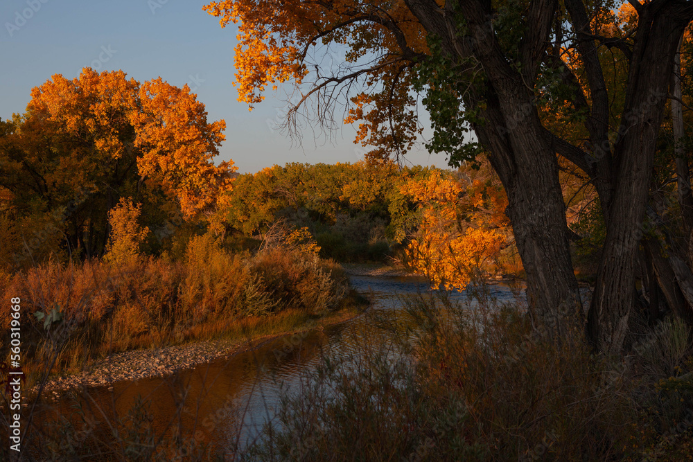 Obraz premium Fall in Embudo, Rio Arriba County, New Mexico