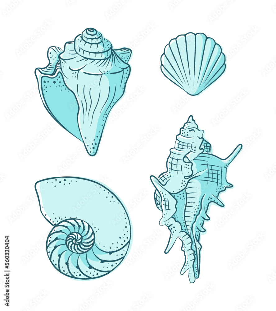 Seashells vector illustration set. Abstract boho sketch doodle style ...