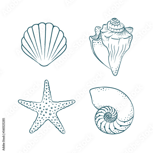 Seashells vector illustration set. Abstract boho sketch doodle style. Illustrations for menu, seafood restaurant design, resort hotel spa, surf boards. Wall Art Print, t shirt, phone case