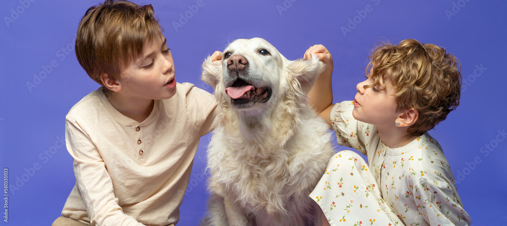 Happy children with favorite pet golden retriever dog over purple background banner. Concept of veterinary, family, education. Copy space for design Happy children with favorite pet golden retriever dog over purple background banner. Concept of veterinary, family, education. Copy space for design