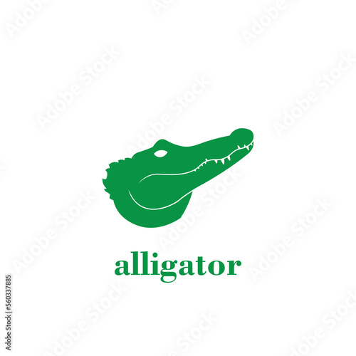 crocodile in the water