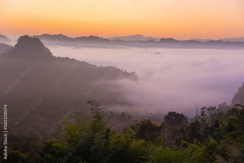 Fototapeta premium The light and shadow of the view in the mist The first sunlight shines through the fog and the trees. Winter landscape in the morning in Thailand.