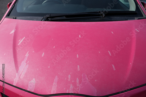 塗装の褪せたボンネット