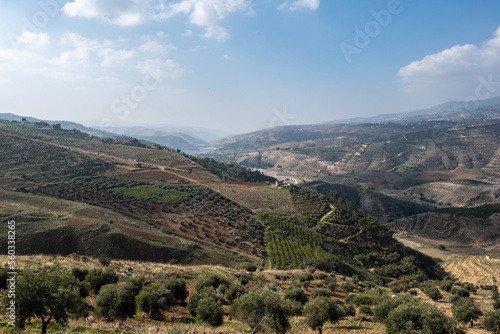panoramic view of the endless expanses of Jordan on a sunny day