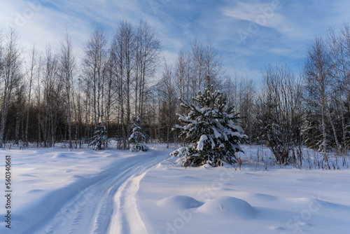 Winter forest landscape with deep snow, snowdrifts and a road going around a bend. Russia, Ural.