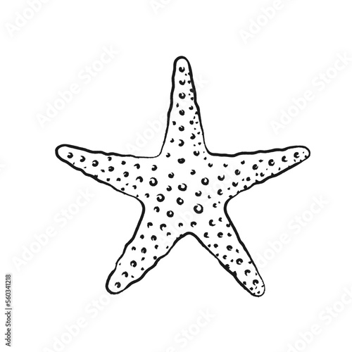 Starfish vector illustration. Abstract boho sketch doodle style. Illustrations for menu, seafood restaurant design, resort hotel spa, surf boards. Wall Art Print, t shirt, phone case