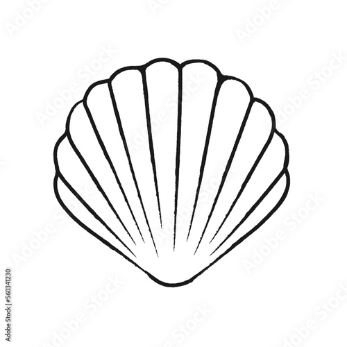Seashell clam vector illustration. Abstract boho sketch doodle style. Illustrations for menu, seafood restaurant design, resort hotel spa, surf boards. Wall Art Print, t shirt, phone case