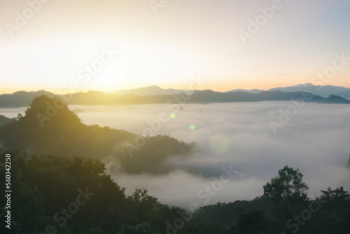 Natural background blurring warm colors and bright sun light. Bokeh or Christmas background Green Energy at sky sunny color orange light.