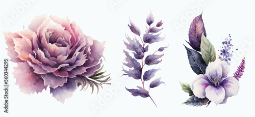 Set of ornamental floral design elements