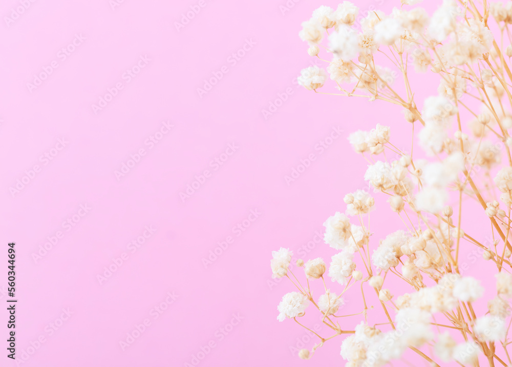 Beautiful flower background of pastel gypsophila flowers. Flat lay, top view.