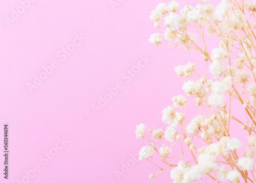 Beautiful flower background of pastel gypsophila flowers. Flat lay, top view.