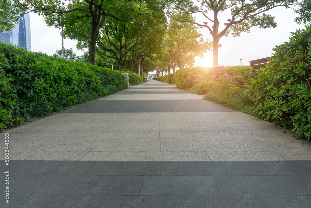 Trees with large courtyards and green lawns. Trees with large courtyards and green lawns.