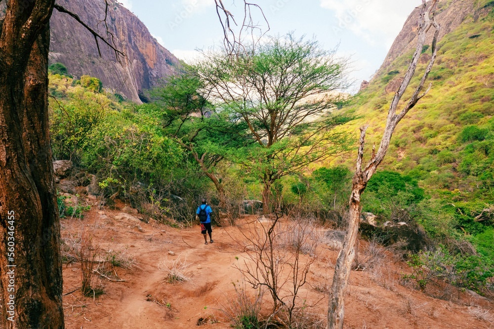 Rear view of a hiker against the background of Ndoto Mountains in Ngurunit, Marsabit County, Kenya