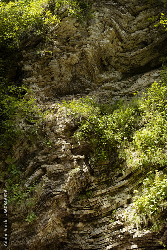 Wall of layered rocks with wavy curved crumpled pattern and bright green plants on slope in sunny summer day with sunbeams, texture, background, detail, vertical. Wall of layered rocks with wavy curved crumpled pattern and bright green plants on slope in sunny summer day with sunbeams, texture, background, detail, vertical.