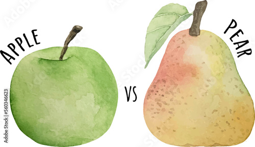 Watercolor illustration fresh raw fruit. Apple and pear.