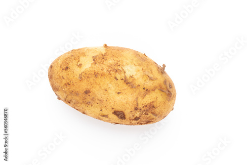 Potato isolated on white background.