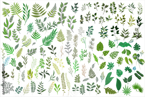 Green Plant Leaves Huge Collection Flat Vector. Set of forest herbs, branches, and tropical green leaves.